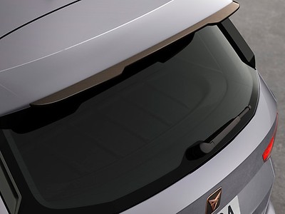 Dachspoiler – Kupfer/Carbon