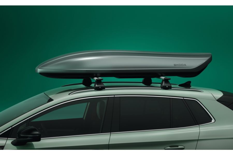 Dachbox Silber-Grau
