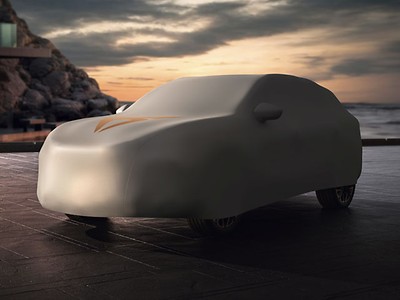 Fahrzeugdecke CUPRA Terramar